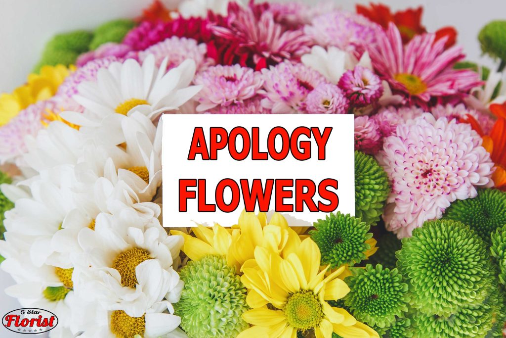 apology flowers Houston