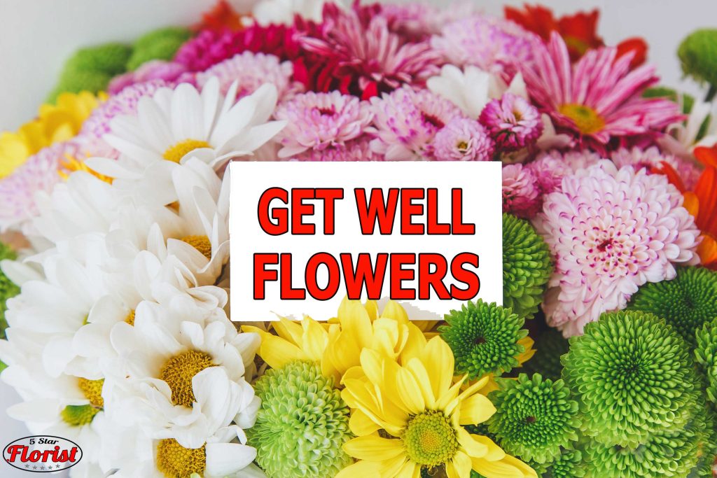 get well flowers Houston